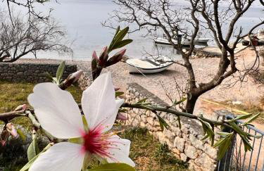 Apartmani Tin - Foto 22