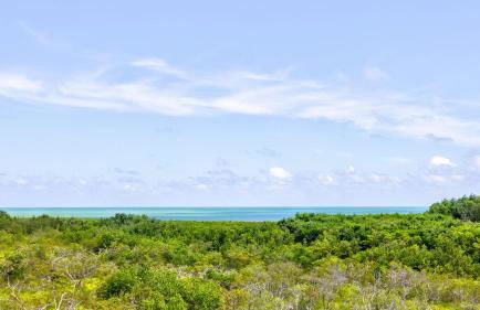 Nauti Hideaway Ocean Pointe 2314 - Foto 26