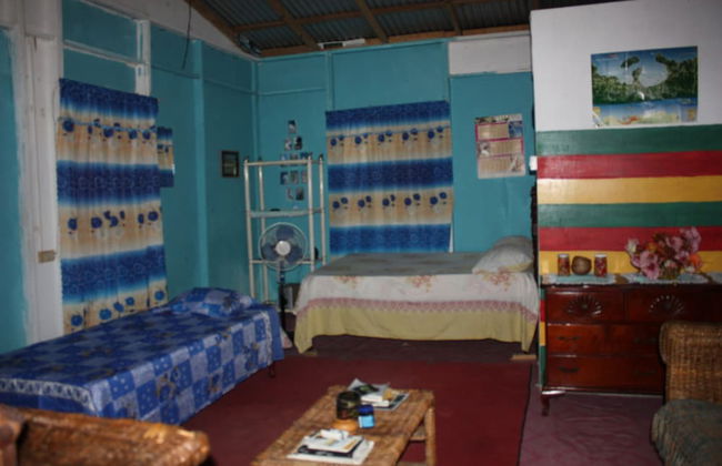 Nature in portland - Foto 5