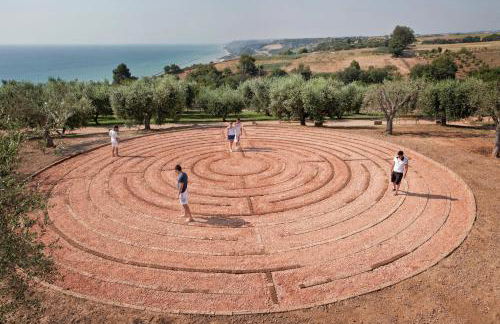 CONTEA DEI CILIEGI (official) - Foto 15