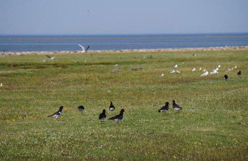 Villa Ludwig Fewo - Foto 24