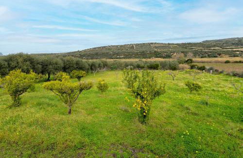 La Villa del Relax - Foto 4