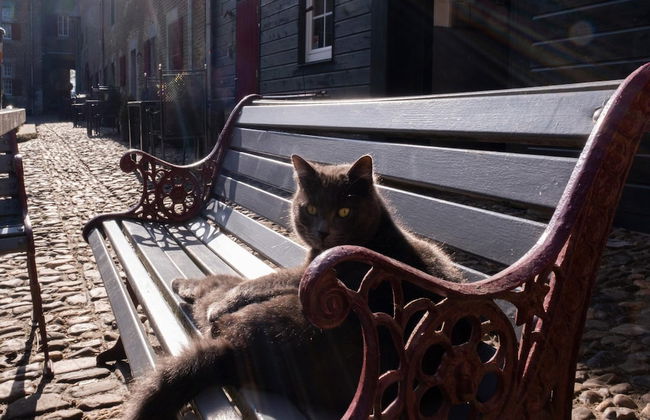 Located Near Maastricht Towards the Belgium Border - Photo 31