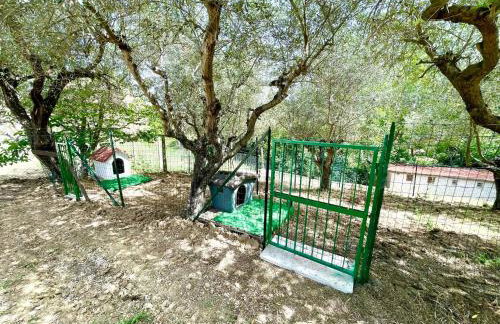 Villa Helvetia - Foto 54