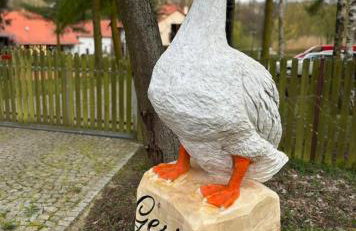 Osada Gęsin - Foto 58