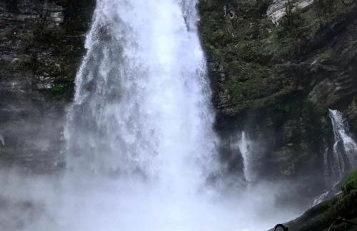 Appartement proche de la ville et du parc du Truchet - Foto 23