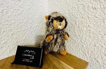 L'AnsloBoys Montagne J4 - Foto 30