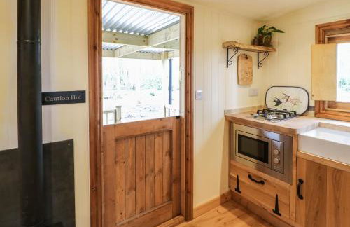 Bracken Fern - Photo 8