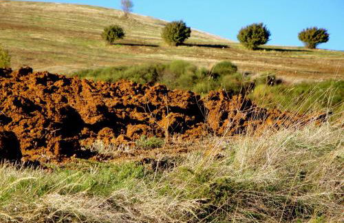 Taverna Centomani - Photo 20