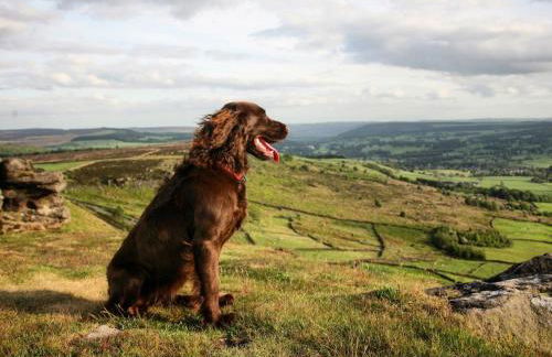 1 Bed in Belper oc-94394 - Foto 20