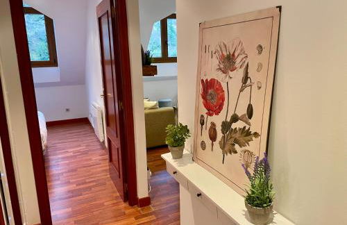 CALMFRANC ático abuhardillado con vistas al río y la montaña Avistamiento de ciervos en Canfranc Pueblo - Foto 3