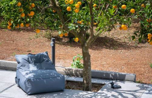 Orange Tree - Foto 42