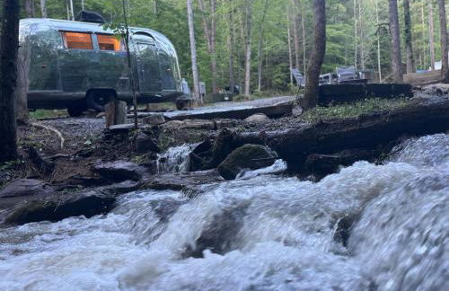 Streamside ShinyTiny Airstream in the Smokies - Foto 29