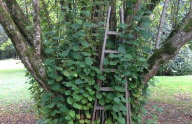 Moulin De Coupigny - Foto 64