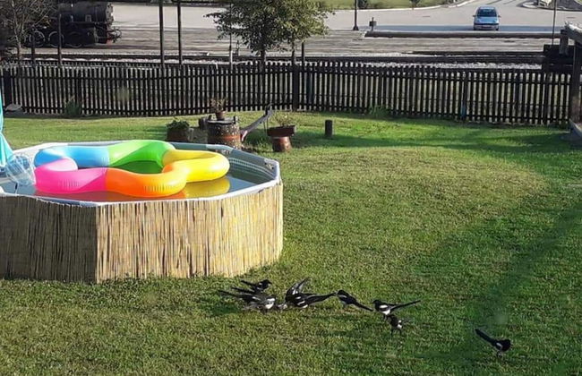 Apartment Sarganska Osmica 8 - Photo 11