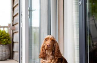 Curlew Lodge Yorkshire - Foto 9