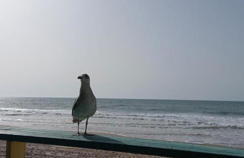 Porvenir centro - Foto 29