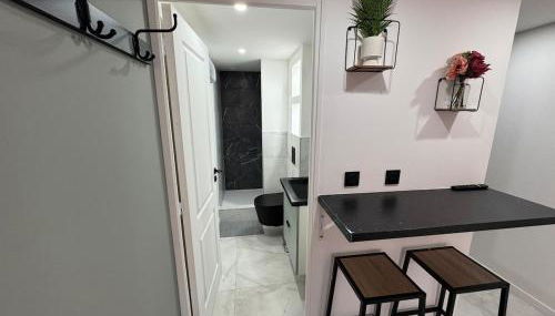 Petit Boudoir Lyonnais neuf terrasse climatisé - Foto 5