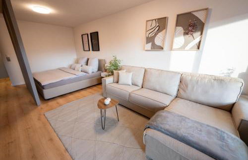 Central Apartment near Basel - Buisness&Holiday - Foto 8