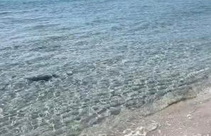 Apartamento en la playa con piscina - Foto 6