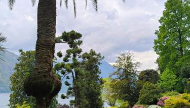 La Casa di Vicky - Foto 2