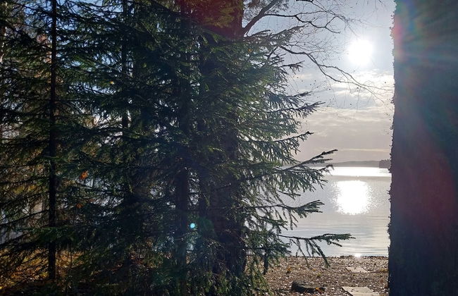 Kesäniitty - Foto 31