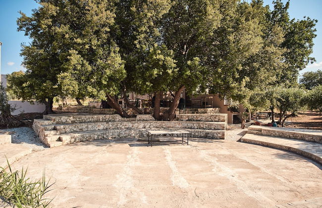 Vamos Fabrica Farm - Foto 46