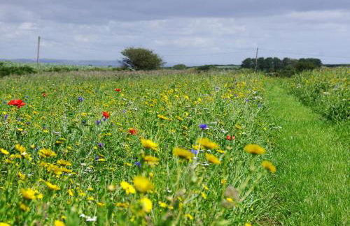 The Rum House - Foto 42