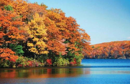 Enjoy snowball fights or romantic nights in a 1BD vacation apartment - Foto 22