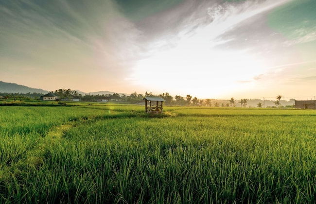 Medewi Surf Villa - Foto 23