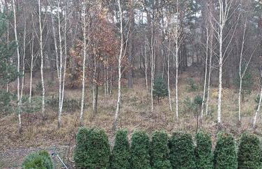 Zielona Ostoja - Foto 16