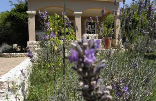 Holiday Home Borna - Foto 28