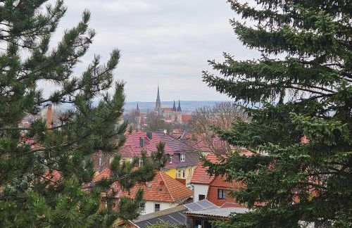 Baumhaus und Tinyhaus - Foto 79