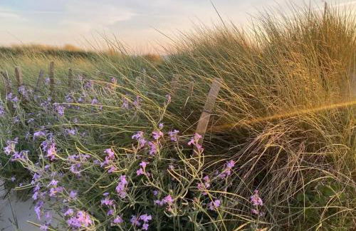 4. Ty gevred à 500m de l'océan - Foto 25