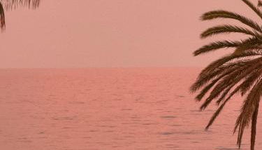 Beachfront apartment - Photo 5