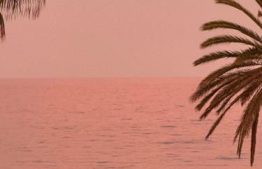 Beachfront apartment - Photo 5