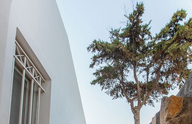 Santorini Villatzio Suites - Photo 34