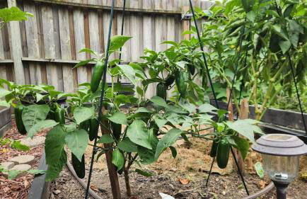 The Cove at Millard West - Foto 7