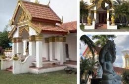 Bienvenidos a la Pequeña Selva de Legnalife - Foto 51