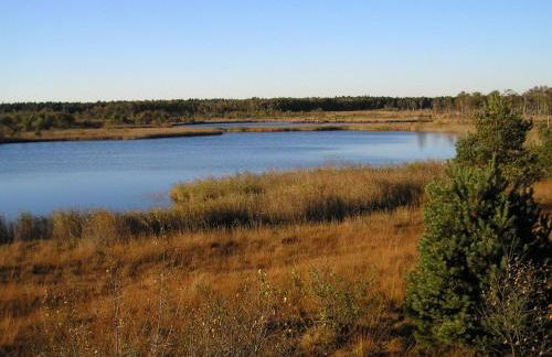 City-Apparte ONE Zentrales & komfortables Wohnen in Gronau - Foto 69