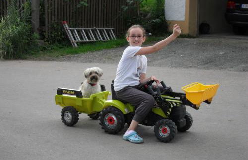 Hofstub´n - Foto 51