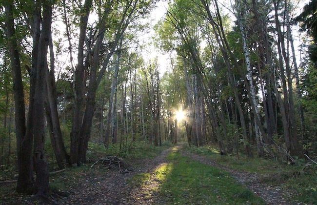 The Sundeck-a romantic apt in Tallkrogen - Photo 20