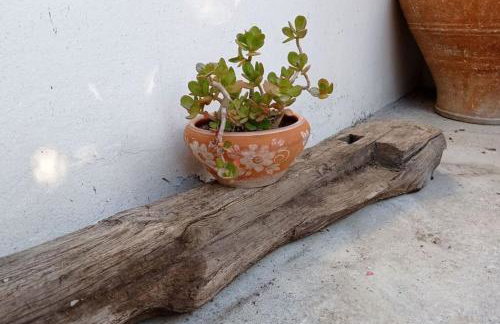 VillaTzer - Traditional house with fireplace and garden - Foto 12