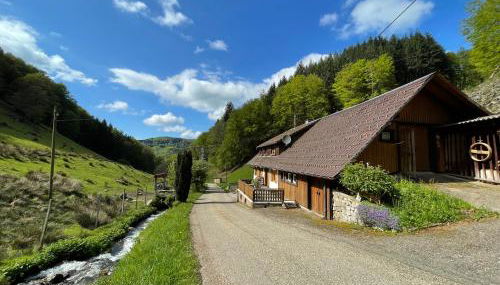 Bauernhaus im Münstertal - Foto 3