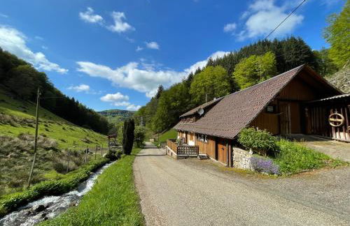 Bauernhaus im Münstertal - Foto 3
