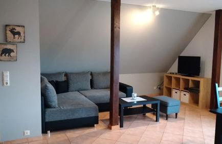 Müritzhof Vipperow direkt am Wasser - Foto 4