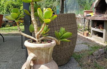 La Gesualda locazione turistica - Foto 45