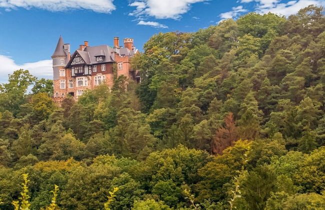 Villa in Sart Jalhay With Swimming Pool - Foto 42