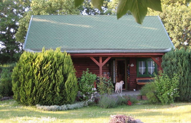 Comfortable holiday house near Lake Kummerow - Foto 50