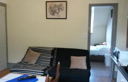 Les Buissonnets - Foto 43